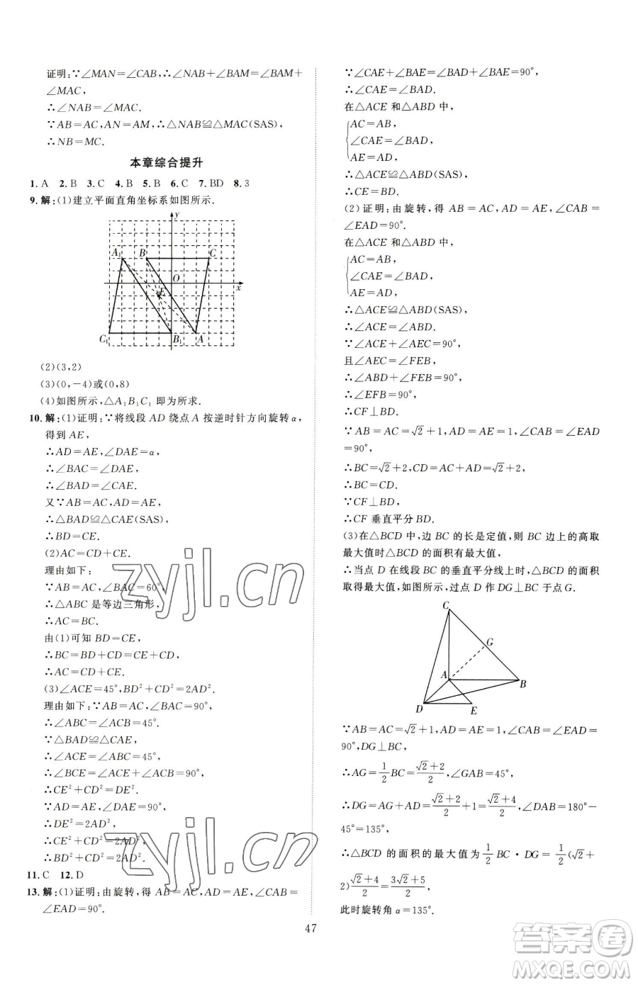 延邊教育出版社2023優(yōu)+學(xué)案課時(shí)通八年級(jí)下冊(cè)數(shù)學(xué)青島版濰坊專版參考答案