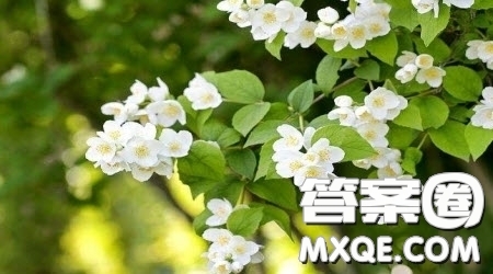 把學(xué)到的用起來真有意義作文600字 關(guān)于把學(xué)到的用起來真有意義為題作文600字