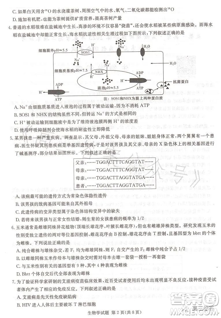 名校聯(lián)考聯(lián)合體2023年春季高二期末聯(lián)考暨新高三適應(yīng)性聯(lián)合考試生物學(xué)試卷答案