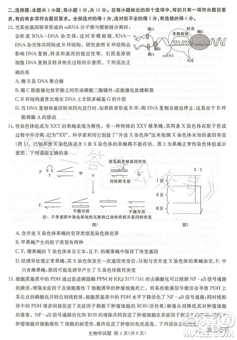 名校聯(lián)考聯(lián)合體2023年春季高二期末聯(lián)考暨新高三適應(yīng)性聯(lián)合考試生物學(xué)試卷答案