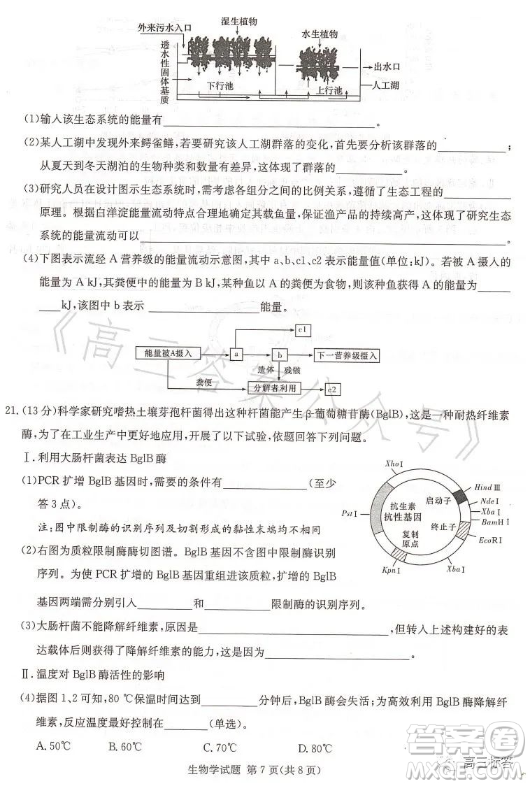 名校聯(lián)考聯(lián)合體2023年春季高二期末聯(lián)考暨新高三適應(yīng)性聯(lián)合考試生物學(xué)試卷答案