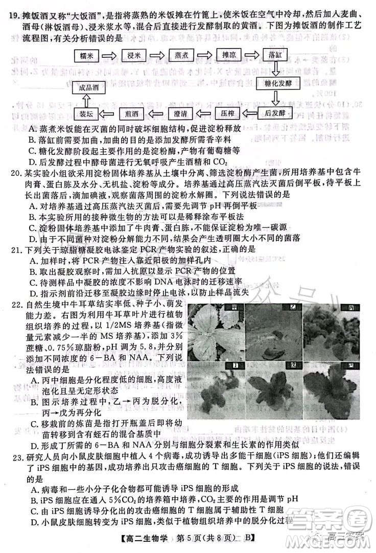 2023年春季學(xué)期高二年級7月質(zhì)量檢測生物試卷答案