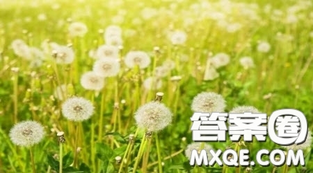 狄德羅睡袍材料作文800字 關于狄德羅的睡袍的材料作文800字