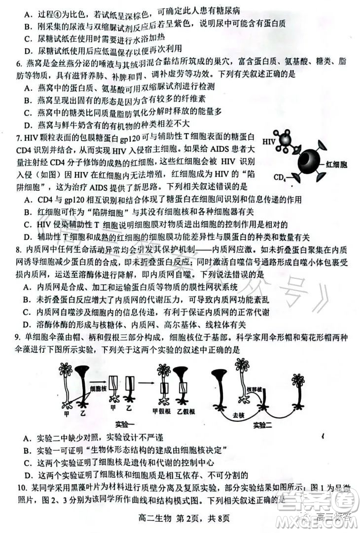 遼寧協(xié)作校2022-2023學(xué)年度下學(xué)期高二期末考試生物學(xué)試卷答案