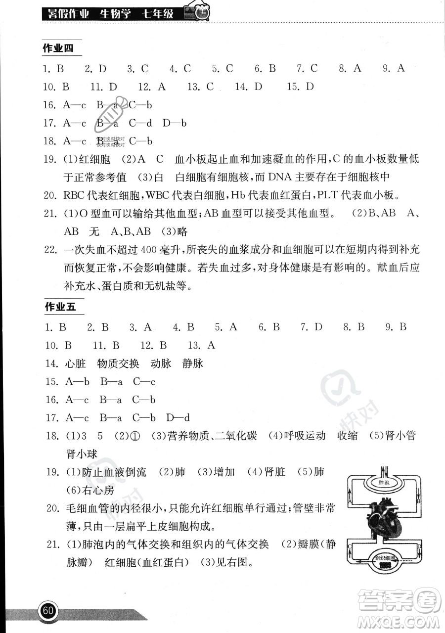 湖北教育出版社2023長江作業(yè)本暑假作業(yè)七年級生物通用版參考答案