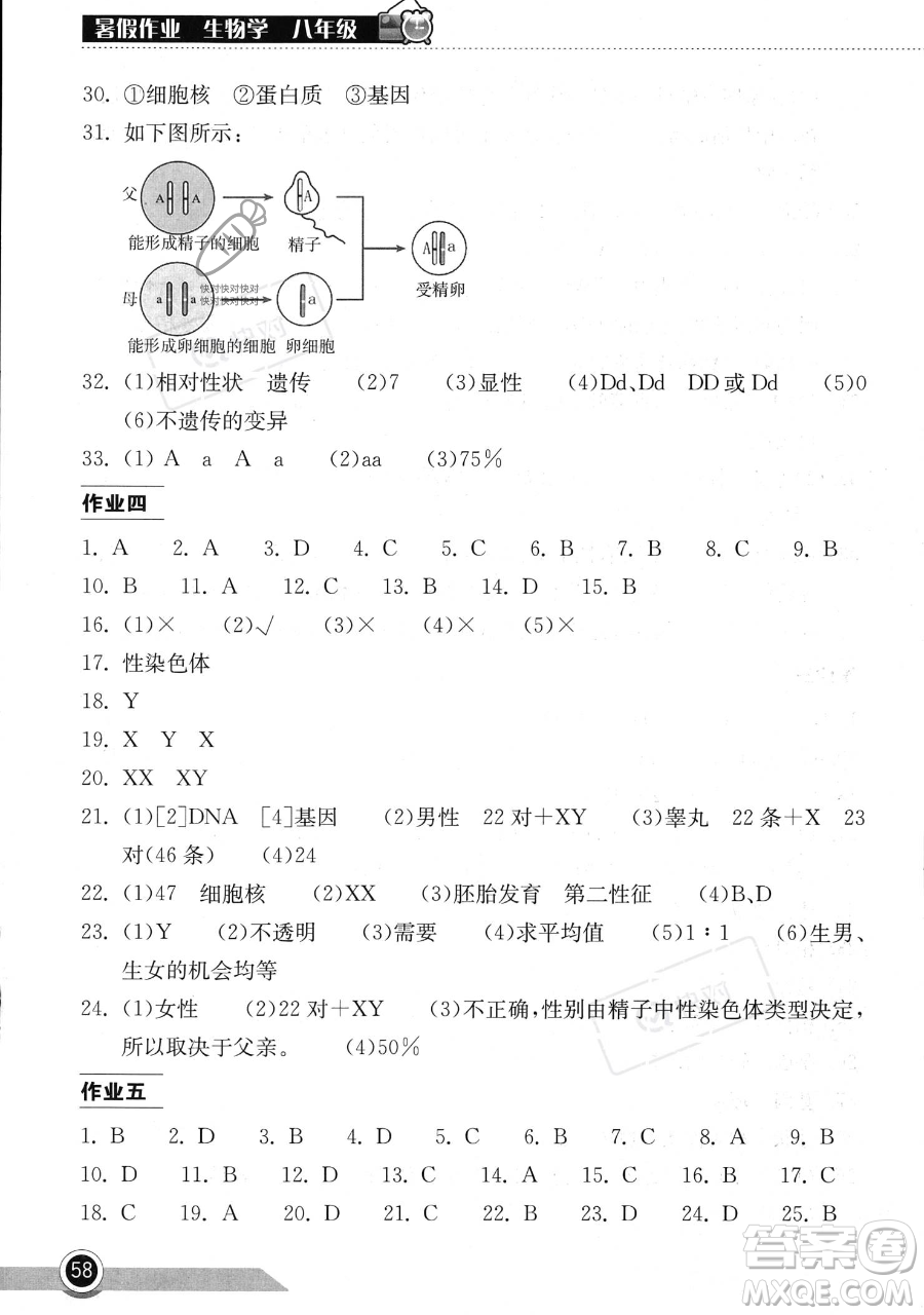 湖北教育出版社2023長江作業(yè)本暑假作業(yè)八年級生物通用版參考答案