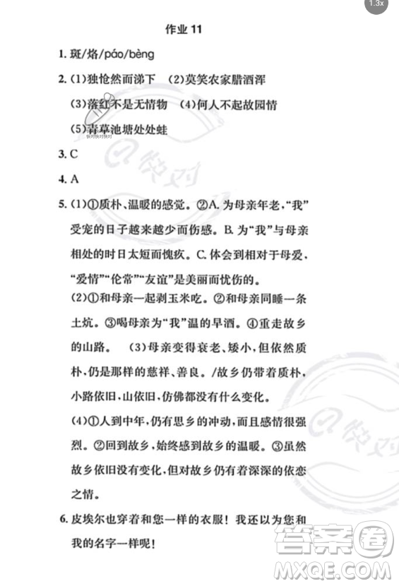 崇文書局2023年長(zhǎng)江暑假作業(yè)七年級(jí)語(yǔ)文通用版答案