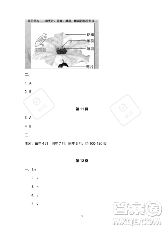 教育科學(xué)出版社2023年暑假作業(yè)四年級科學(xué)教科版答案