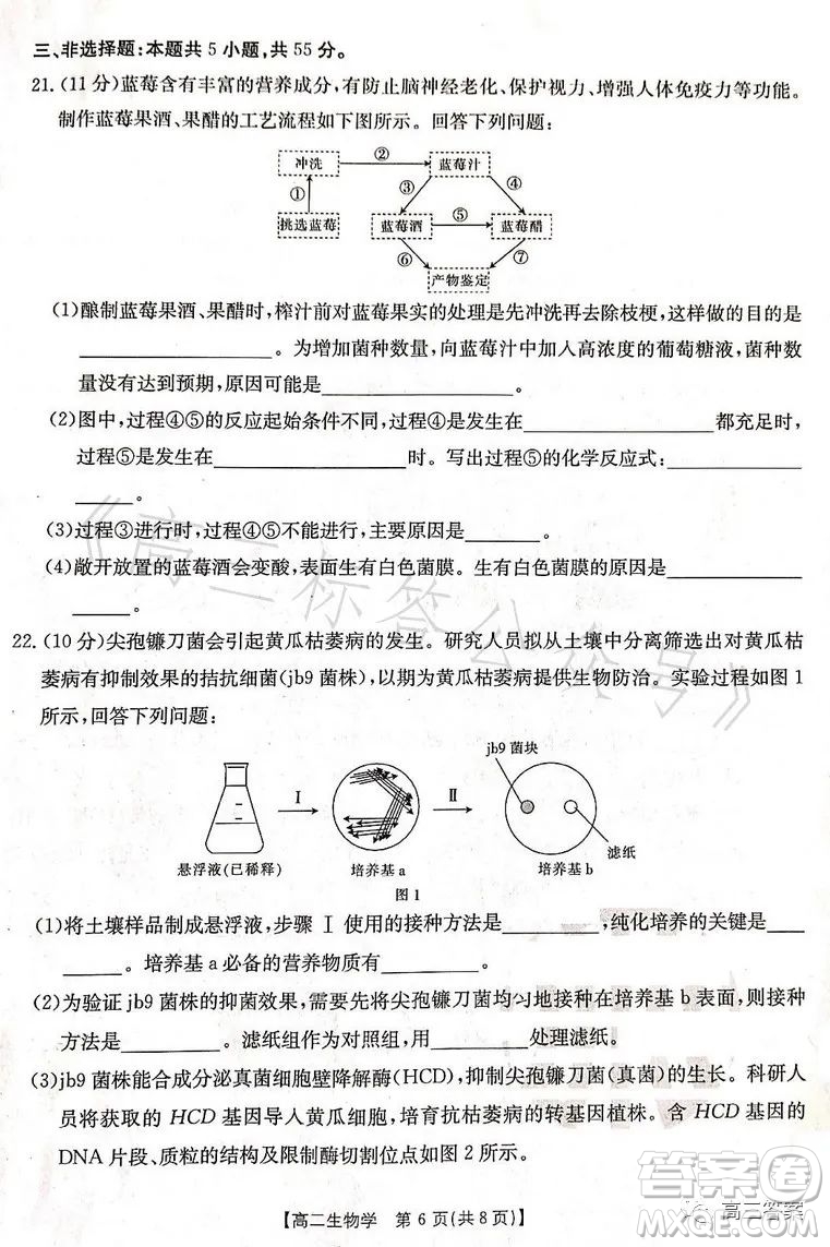 遼寧省部分高中2023高二下學(xué)期期末聯(lián)考生物試題答案