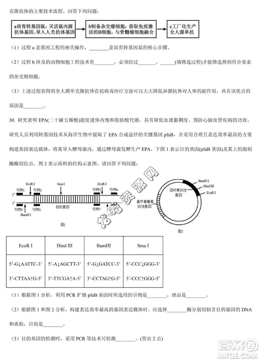 大慶實(shí)驗(yàn)中學(xué)2022-2023學(xué)年高二下學(xué)期期末考試生物試題答案