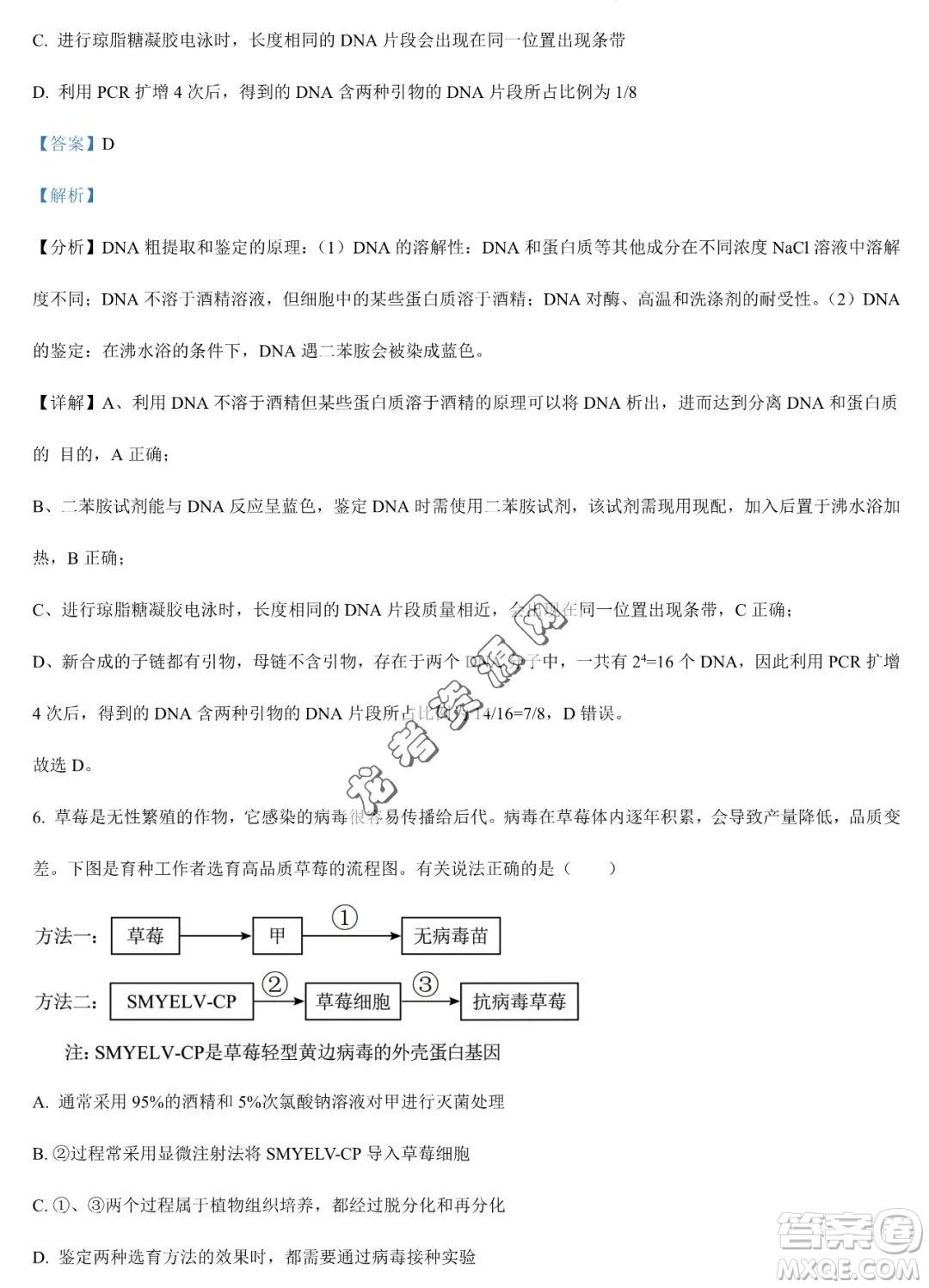 大慶實(shí)驗(yàn)中學(xué)2022-2023學(xué)年高二下學(xué)期期末考試生物試題答案