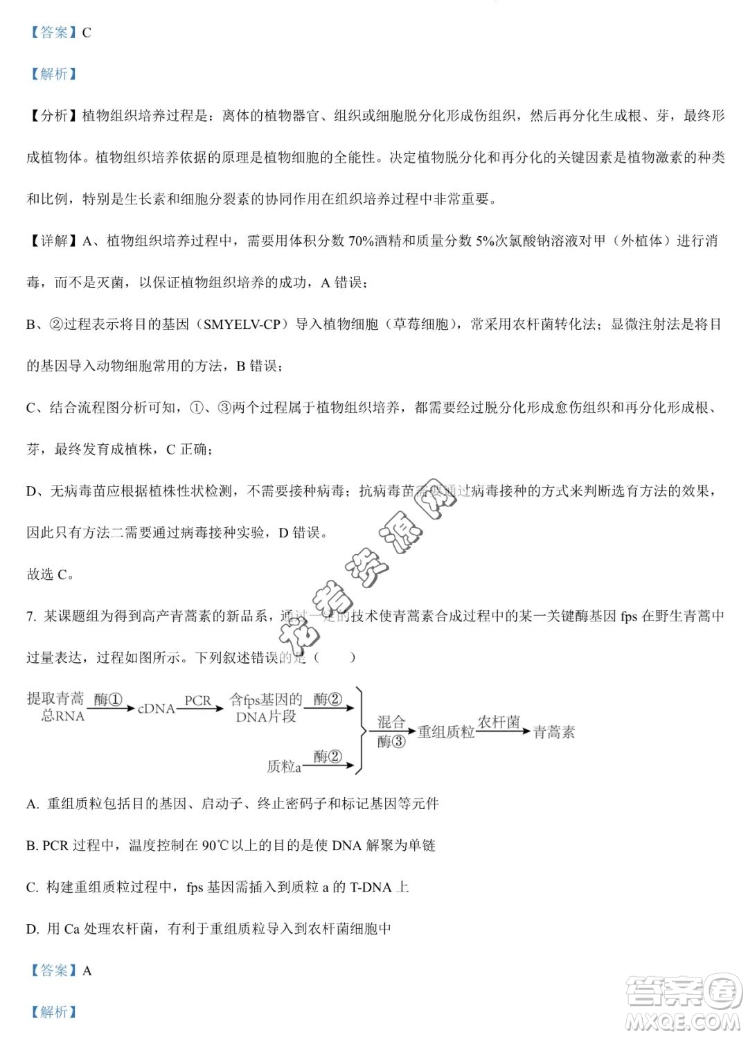 大慶實(shí)驗(yàn)中學(xué)2022-2023學(xué)年高二下學(xué)期期末考試生物試題答案