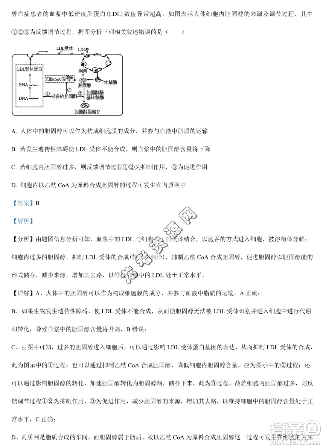 大慶實(shí)驗(yàn)中學(xué)2022-2023學(xué)年高二下學(xué)期期末考試生物試題答案