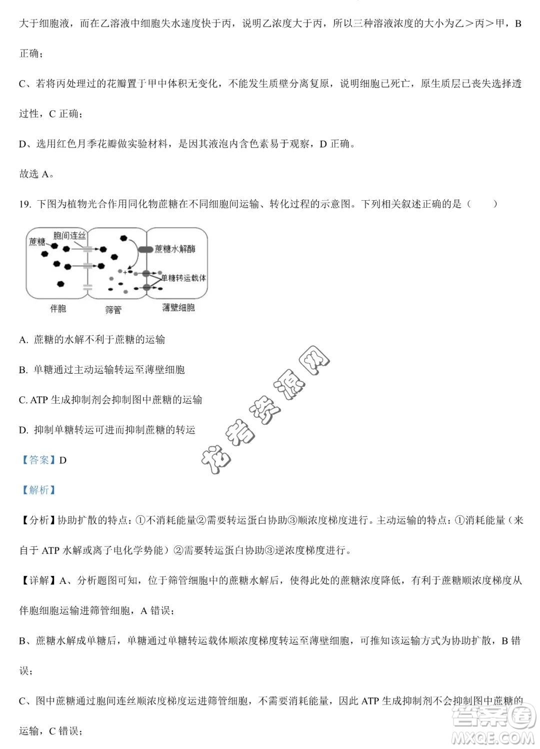 大慶實(shí)驗(yàn)中學(xué)2022-2023學(xué)年高二下學(xué)期期末考試生物試題答案