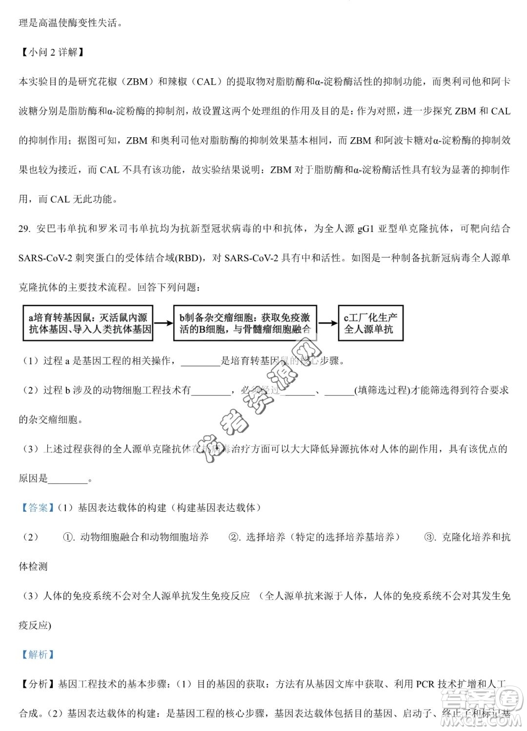 大慶實(shí)驗(yàn)中學(xué)2022-2023學(xué)年高二下學(xué)期期末考試生物試題答案