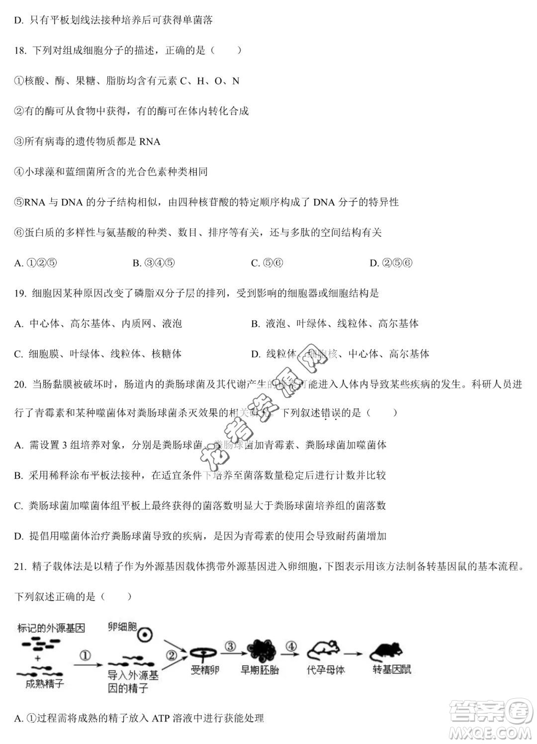 雙鴨山市第一中學(xué)2022-2023學(xué)年高二下學(xué)期期末考試生物試卷答案