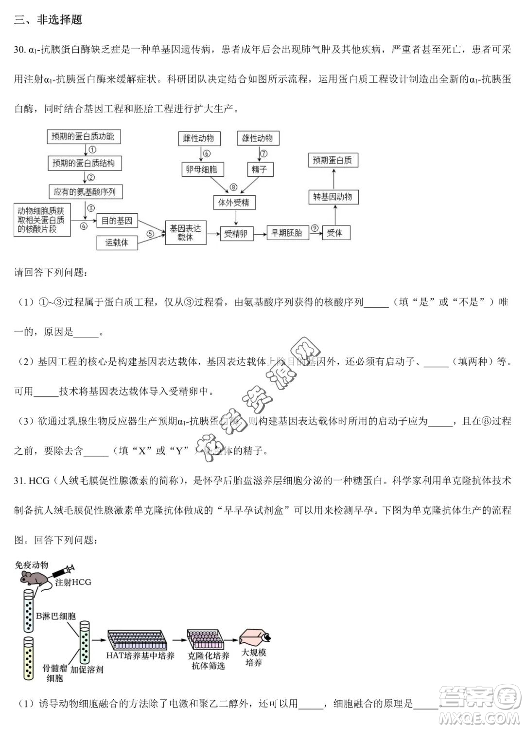 雙鴨山市第一中學(xué)2022-2023學(xué)年高二下學(xué)期期末考試生物試卷答案