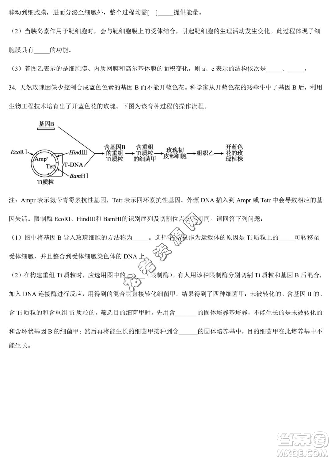 雙鴨山市第一中學(xué)2022-2023學(xué)年高二下學(xué)期期末考試生物試卷答案