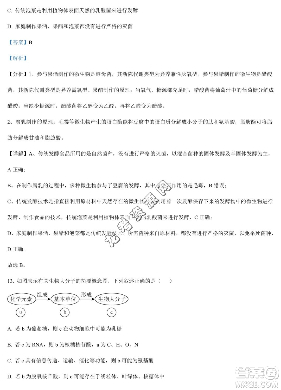 雙鴨山市第一中學(xué)2022-2023學(xué)年高二下學(xué)期期末考試生物試卷答案