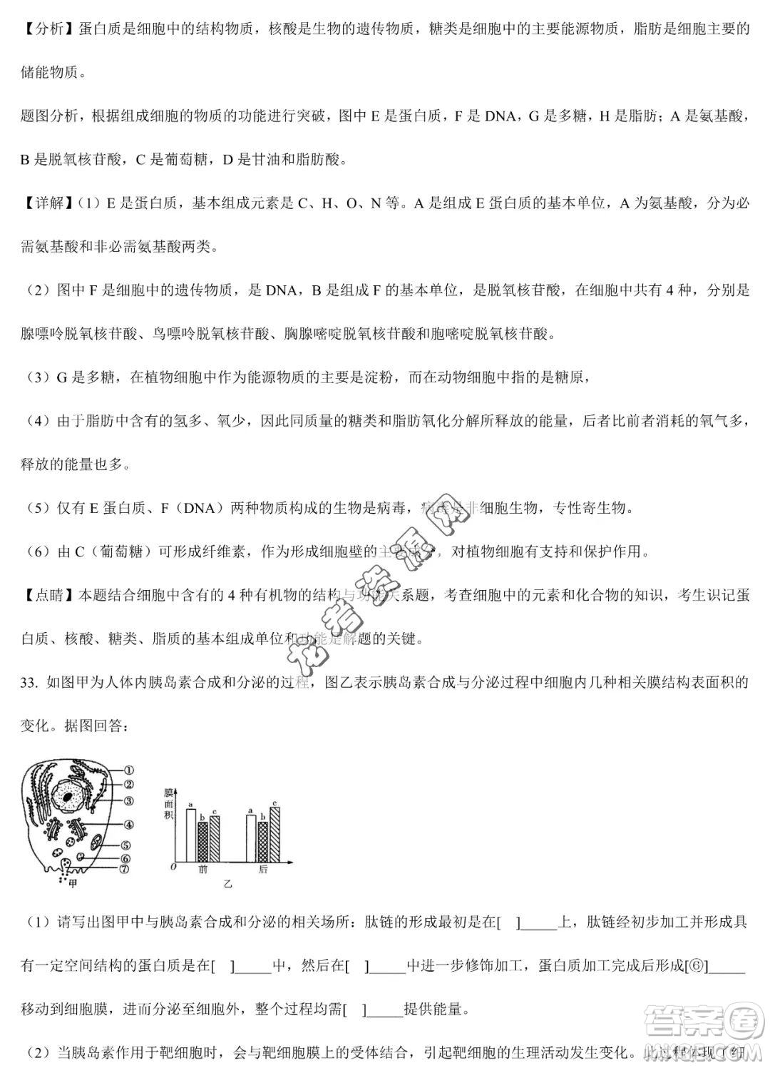 雙鴨山市第一中學(xué)2022-2023學(xué)年高二下學(xué)期期末考試生物試卷答案