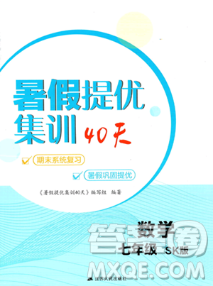 江蘇人民出版社2023年暑假提優(yōu)集訓(xùn)40天七年級(jí)數(shù)學(xué)蘇科版答案