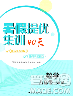 江蘇人民出版社2023年暑假提優(yōu)集訓(xùn)40天八年級(jí)數(shù)學(xué)蘇科版答案