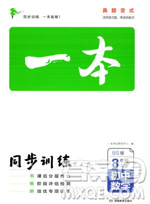 湖南教育出版社2023年一本同步訓(xùn)練八年級(jí)上冊(cè)數(shù)學(xué)北師大版答案