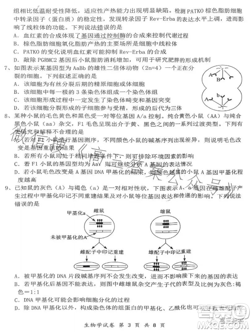 騰云聯(lián)盟2023-2024學(xué)年度上學(xué)期高三年級(jí)八月聯(lián)考生物試卷答案