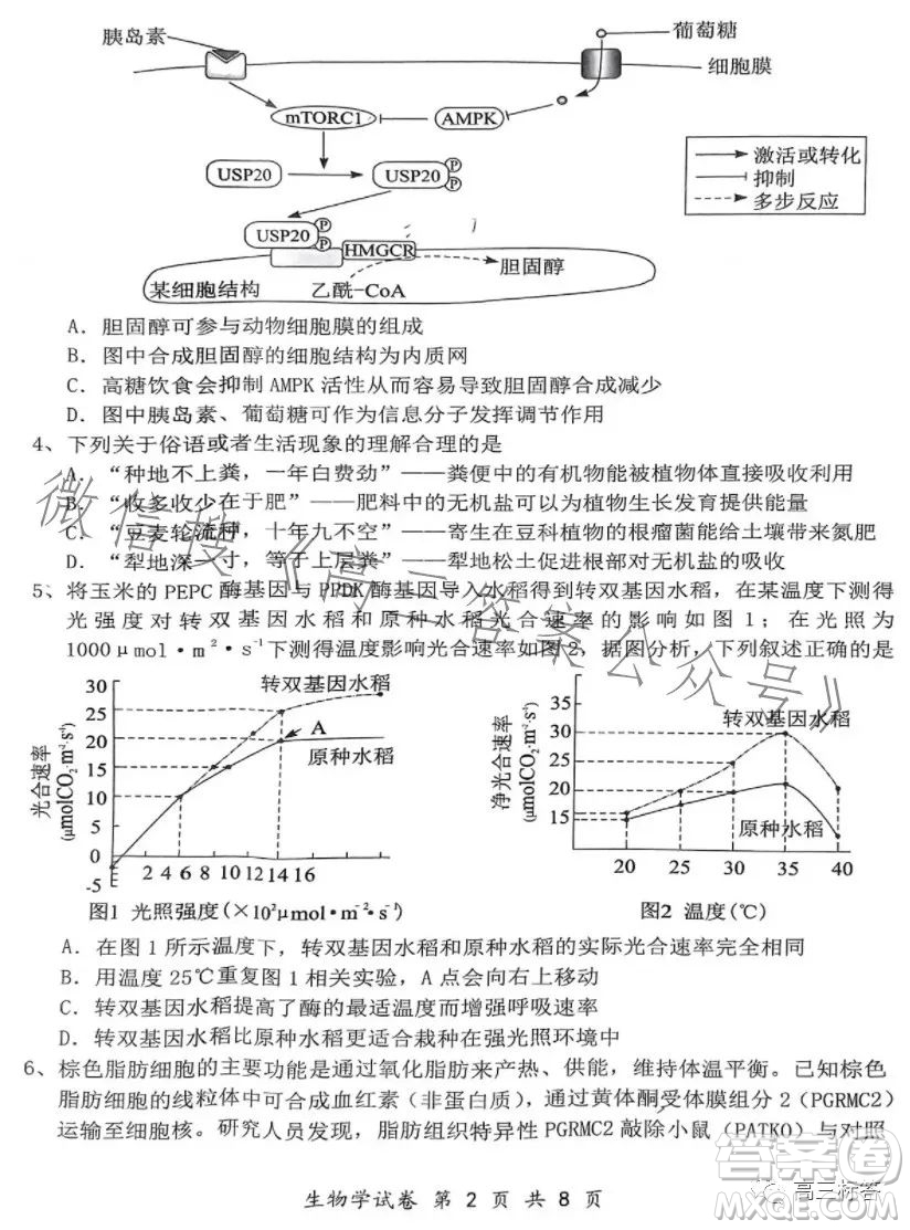 騰云聯(lián)盟2023-2024學(xué)年度上學(xué)期高三年級(jí)八月聯(lián)考生物試卷答案