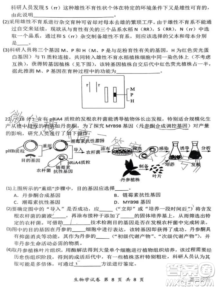 騰云聯(lián)盟2023-2024學(xué)年度上學(xué)期高三年級(jí)八月聯(lián)考生物試卷答案