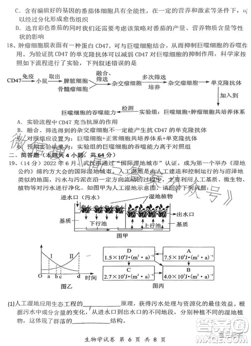 騰云聯(lián)盟2023-2024學(xué)年度上學(xué)期高三年級(jí)八月聯(lián)考生物試卷答案