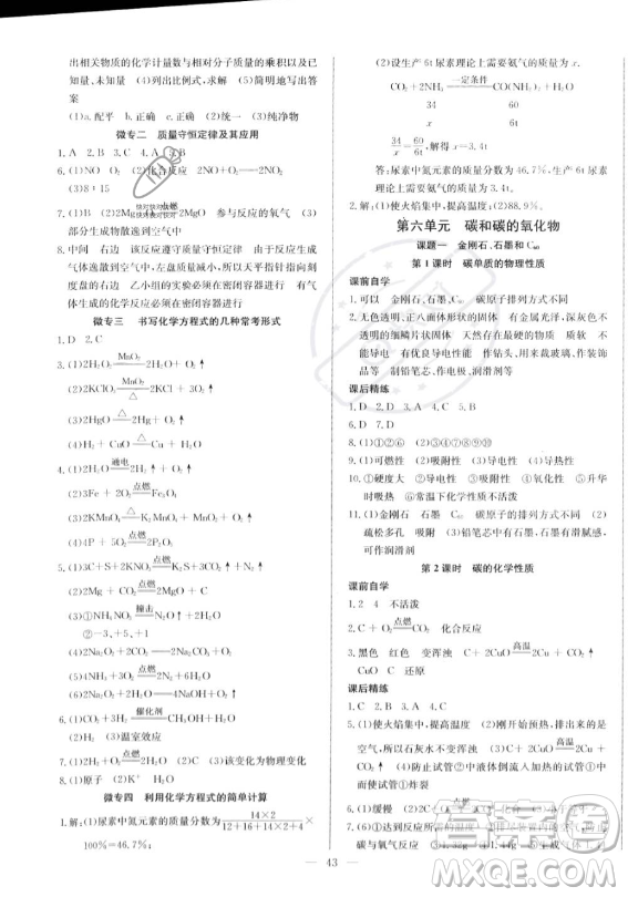 長江少年兒童出版社2023思維新觀察九年級全冊化學(xué)人教版答案