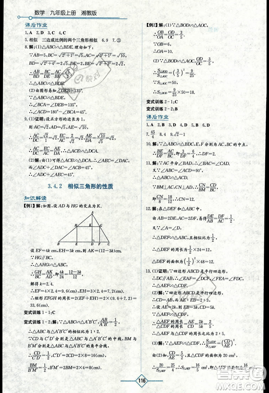 湖南教育出版社2023學(xué)法大視野九年級(jí)上冊(cè)數(shù)學(xué)湘教版答案