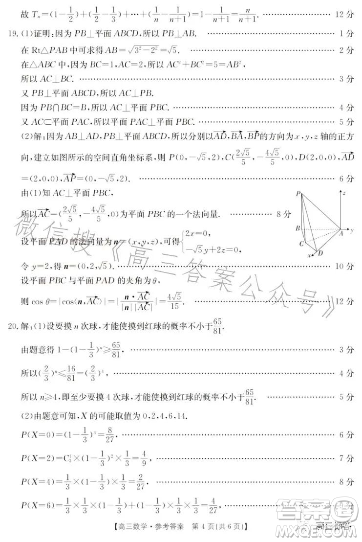 2024屆高三金太陽8月聯(lián)考24-03C數(shù)學(xué)試卷答案