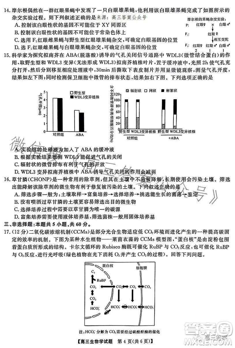 天壹名校聯(lián)盟2024屆高三入學(xué)摸底考試生物試卷答案