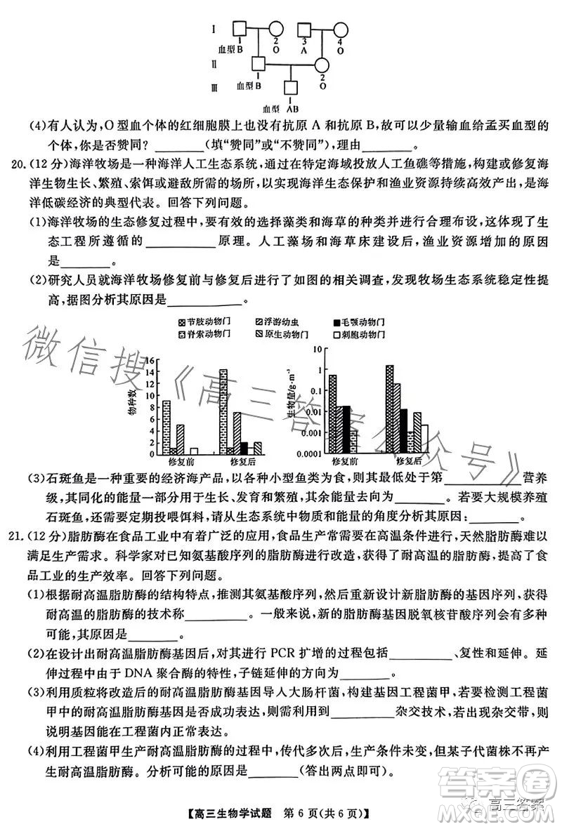 天壹名校聯(lián)盟2024屆高三入學(xué)摸底考試生物試卷答案