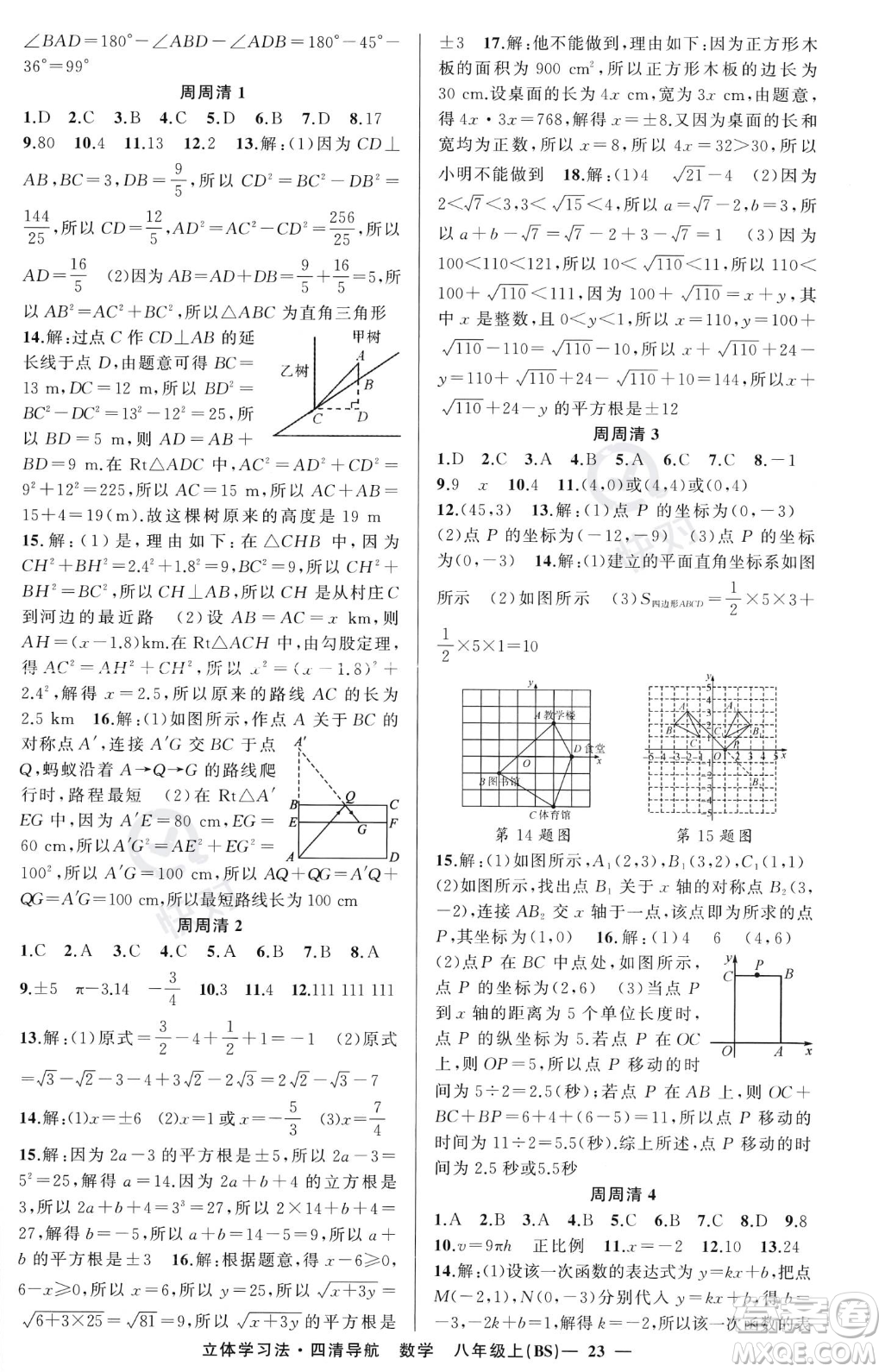 新疆青少年出版社2023年秋季四清導(dǎo)航八年級(jí)上冊(cè)數(shù)學(xué)北師大版遼寧專版答案