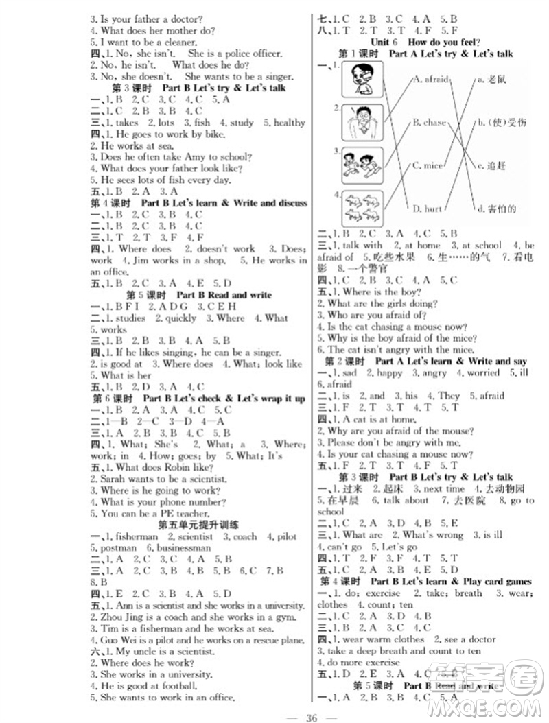 合肥工業(yè)大學(xué)出版社2023年秋課堂制勝課時作業(yè)六年級英語上冊人教版參考答案