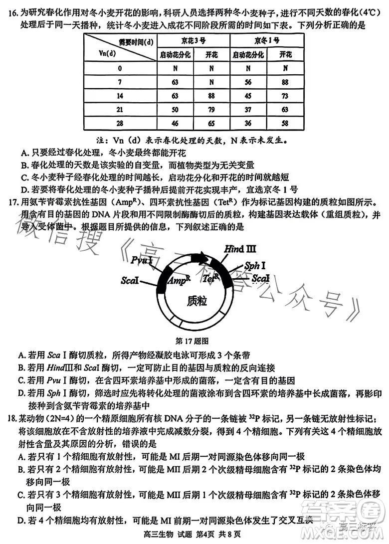 2023學(xué)年第一學(xué)期浙江省七彩陽光新高考研究聯(lián)盟返校聯(lián)考高三生物試題答案