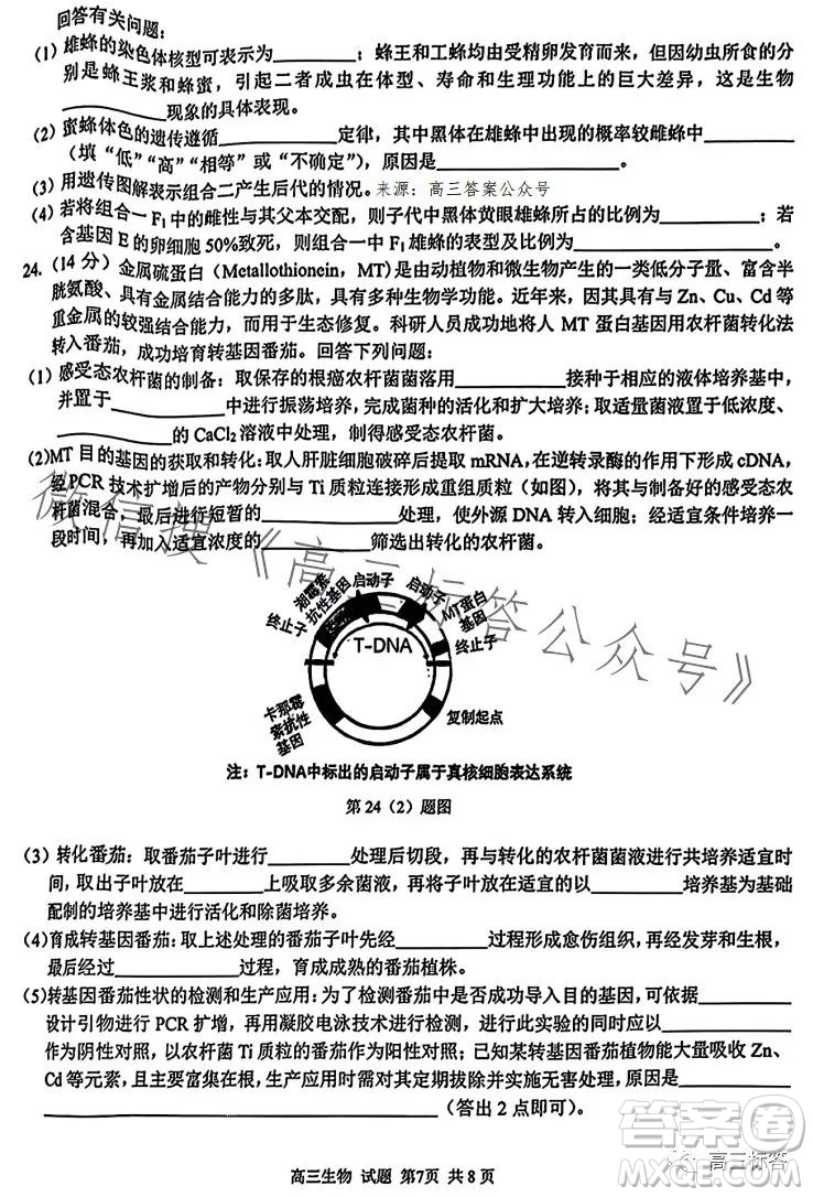 2023學(xué)年第一學(xué)期浙江省七彩陽光新高考研究聯(lián)盟返校聯(lián)考高三生物試題答案