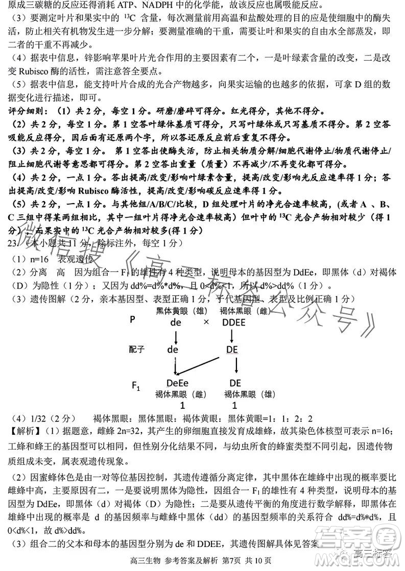 2023學(xué)年第一學(xué)期浙江省七彩陽光新高考研究聯(lián)盟返校聯(lián)考高三生物試題答案