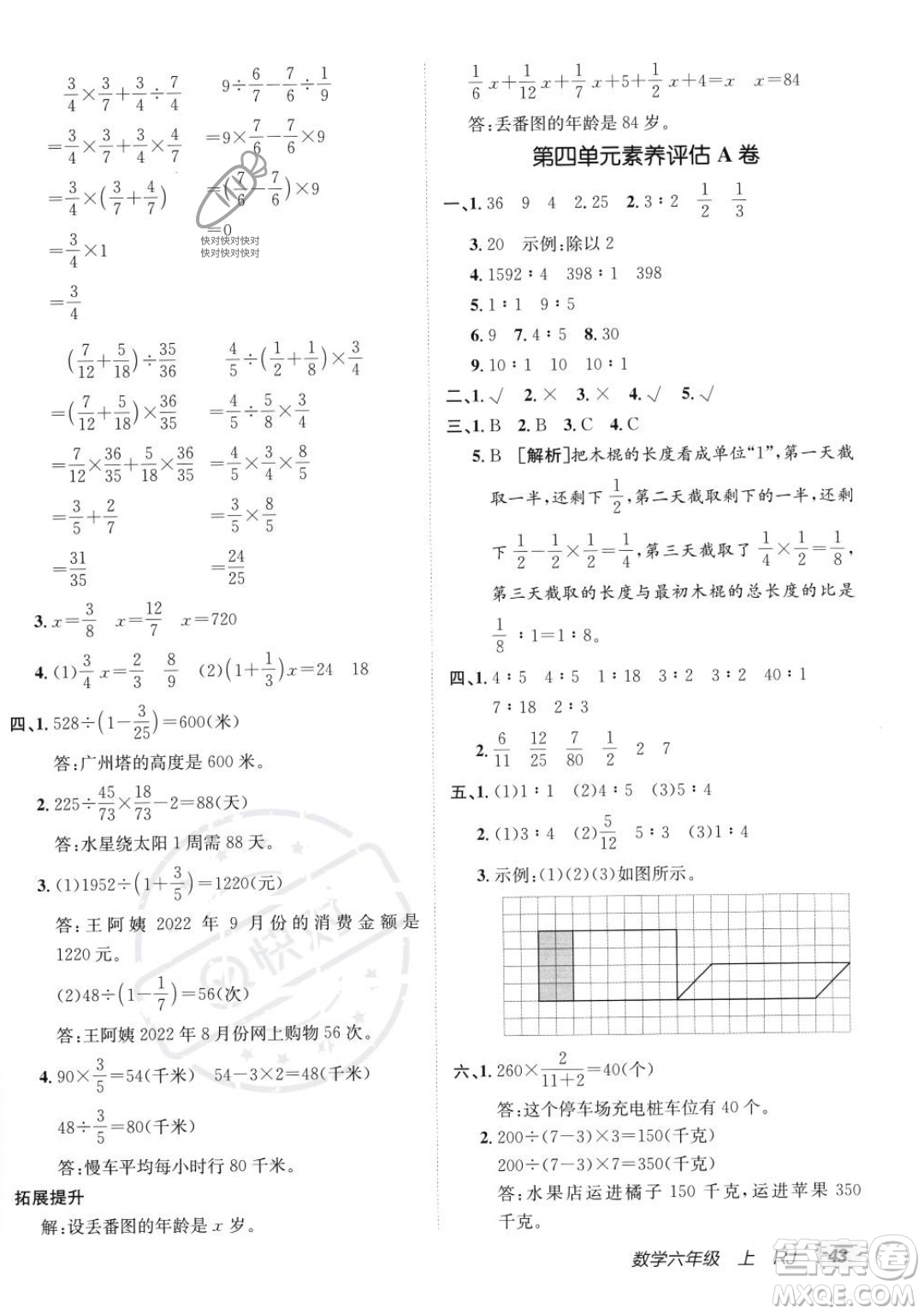 新疆青少年出版社2023年秋海淀單元測(cè)試AB卷六年級(jí)上冊(cè)數(shù)學(xué)人教版答案