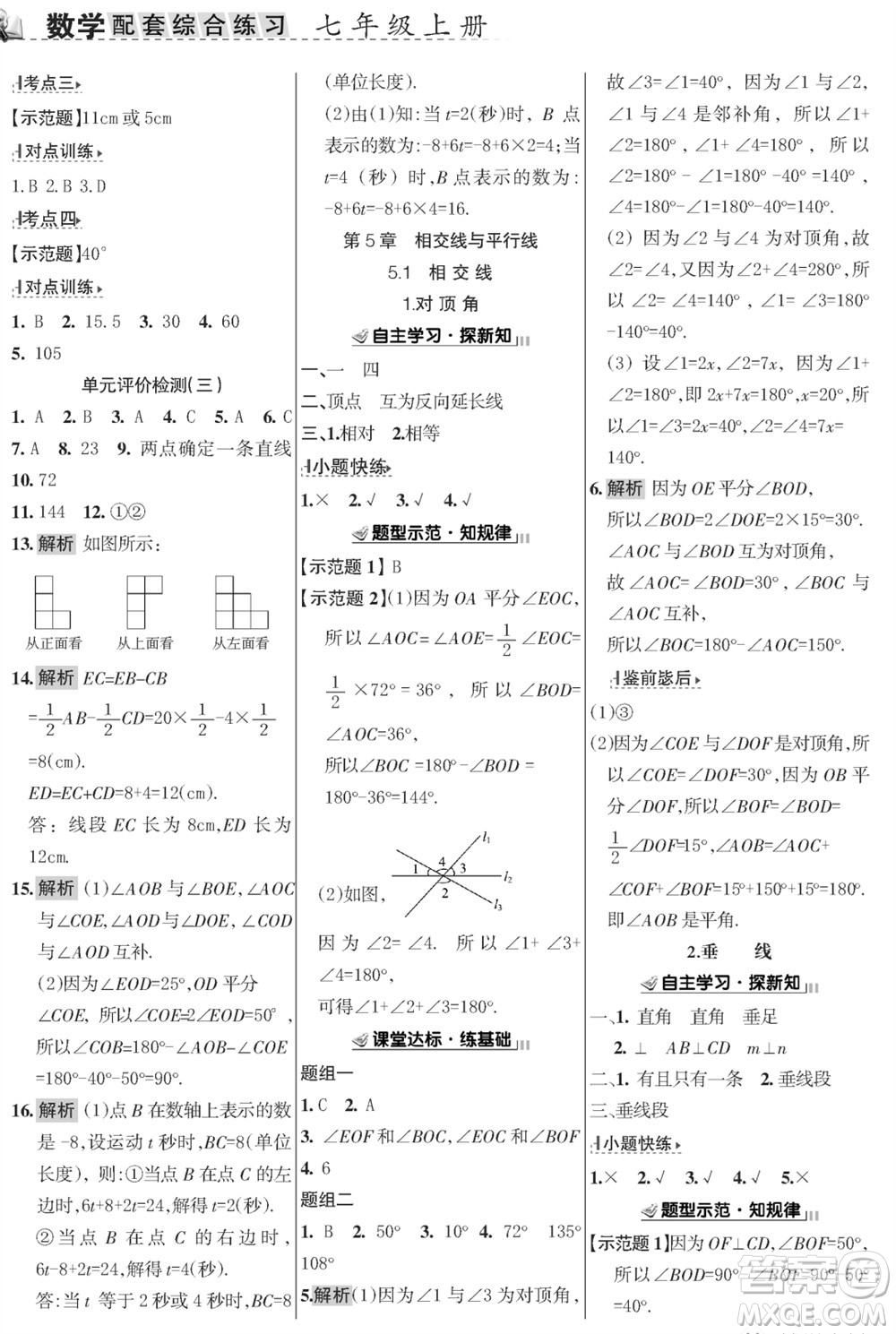 甘肅文化出版社2023年秋配套綜合練習(xí)七年級數(shù)學(xué)上冊華師大版參考答案