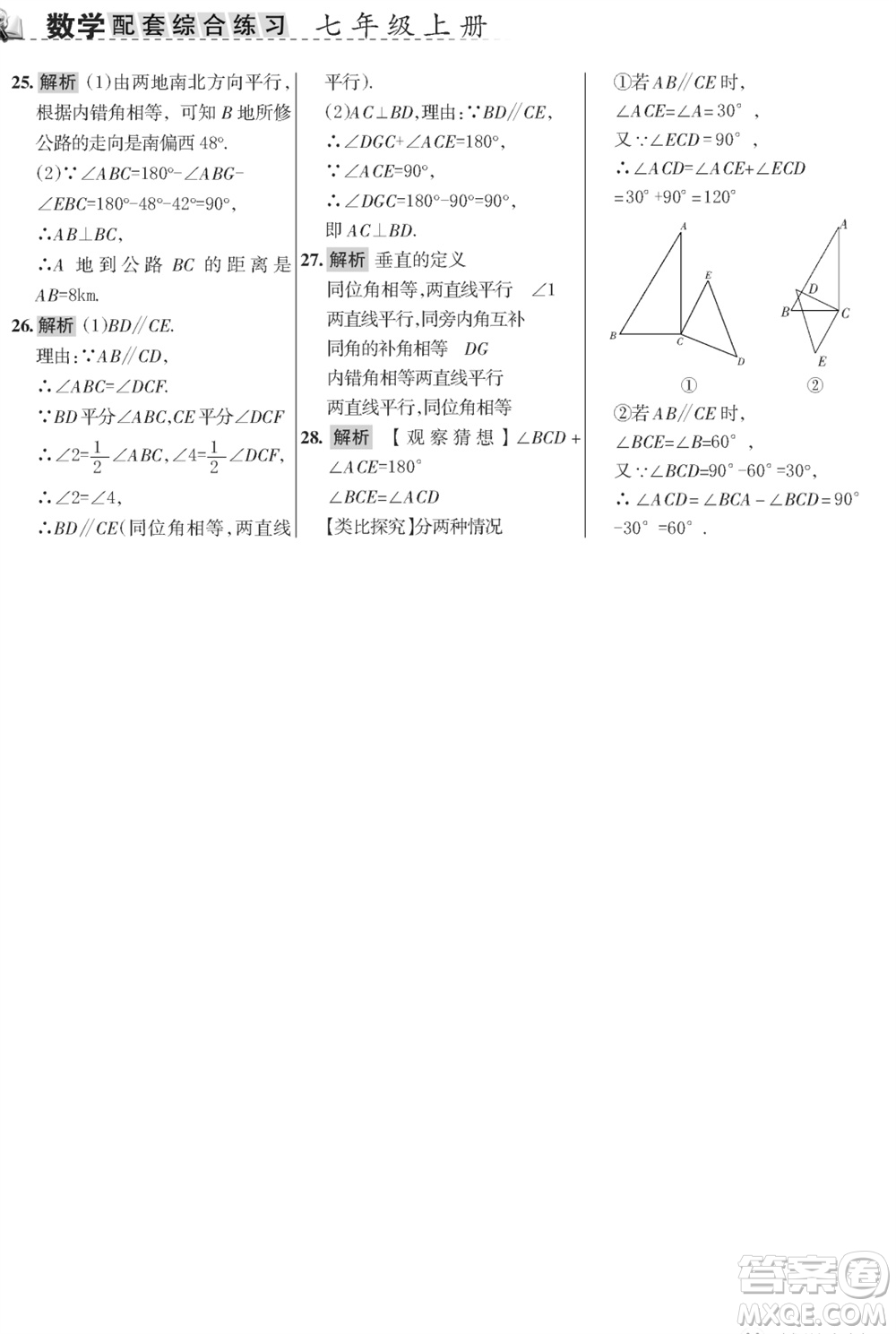 甘肅文化出版社2023年秋配套綜合練習(xí)七年級數(shù)學(xué)上冊華師大版參考答案