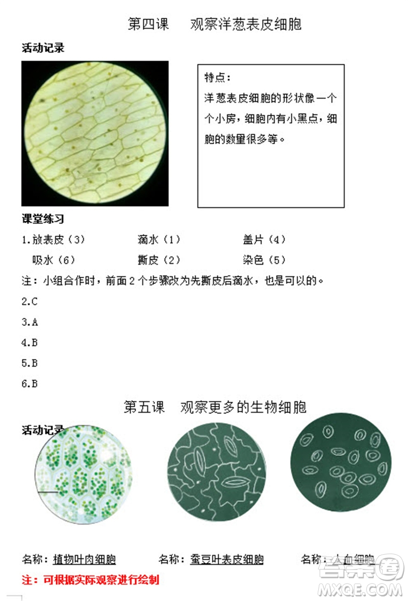 浙江教育出版社2023年秋科學(xué)作業(yè)本六年級(jí)上冊(cè)教科版參考答案