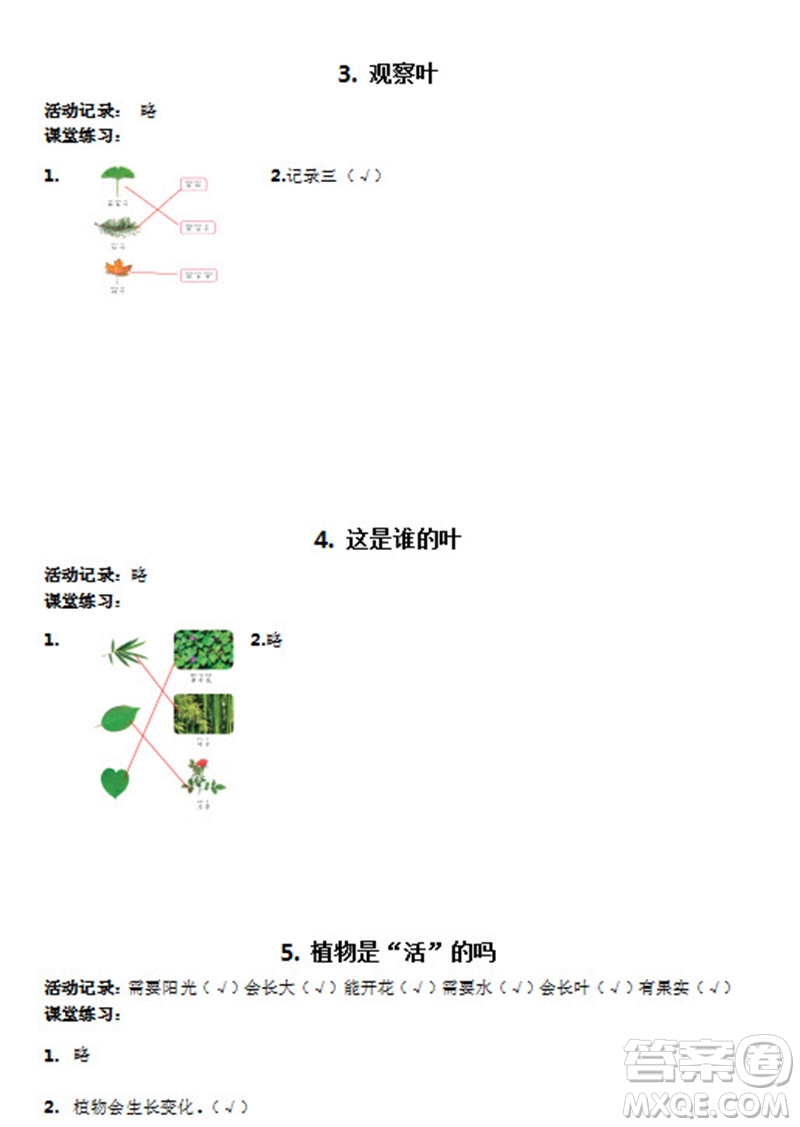 浙江教育出版社2023年秋科學(xué)課堂作業(yè)本一年級上冊教科版參考答案