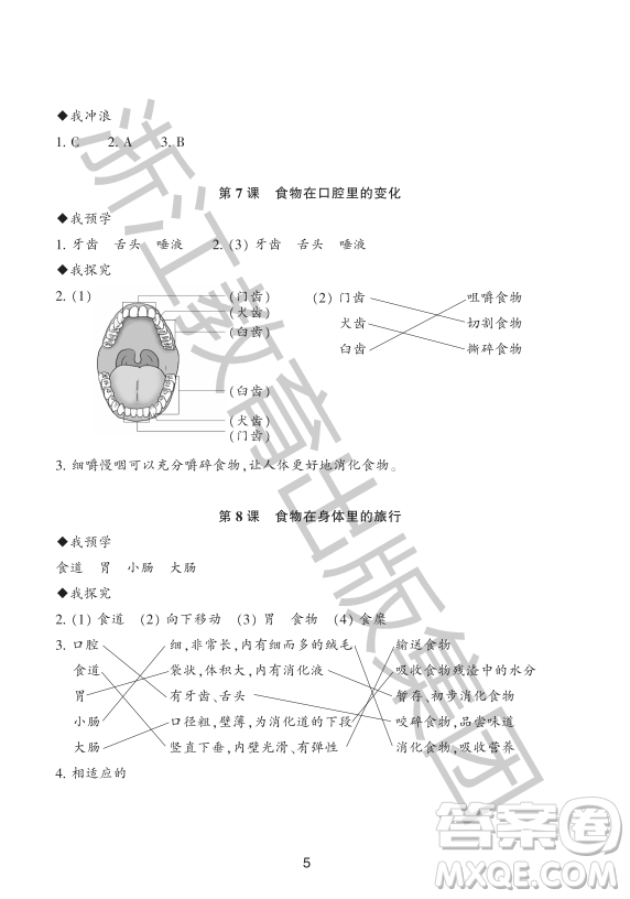 浙江教育出版社2023年秋預(yù)學(xué)與導(dǎo)學(xué)四年級(jí)上冊(cè)科學(xué)教科版答案