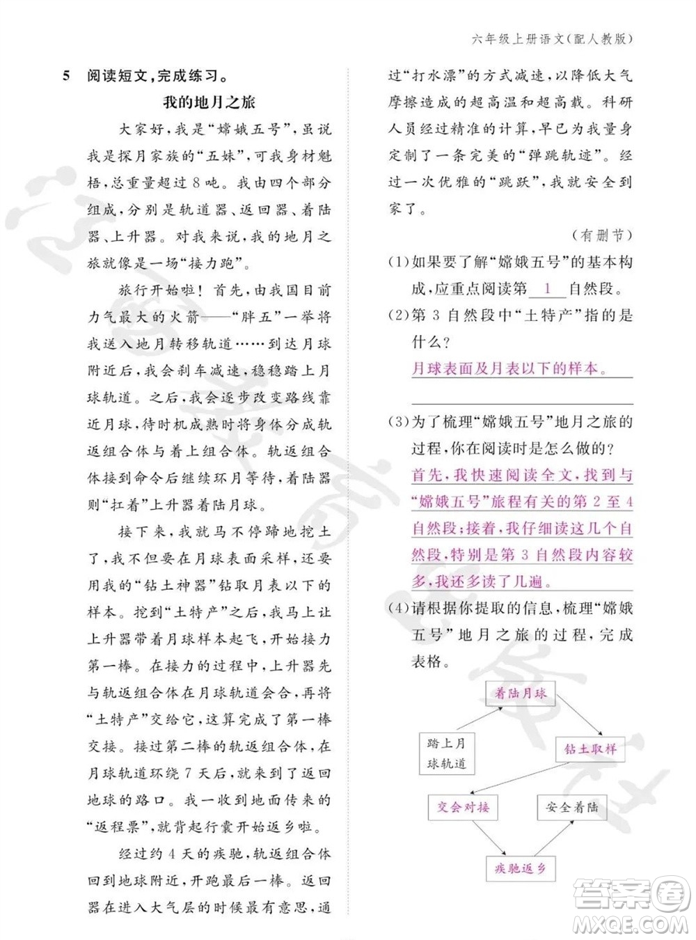 江西教育出版社2023年秋語文作業(yè)本六年級上冊人教版參考答案