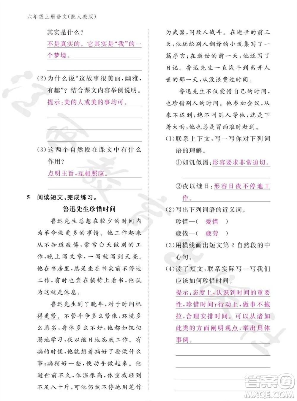 江西教育出版社2023年秋語文作業(yè)本六年級上冊人教版參考答案