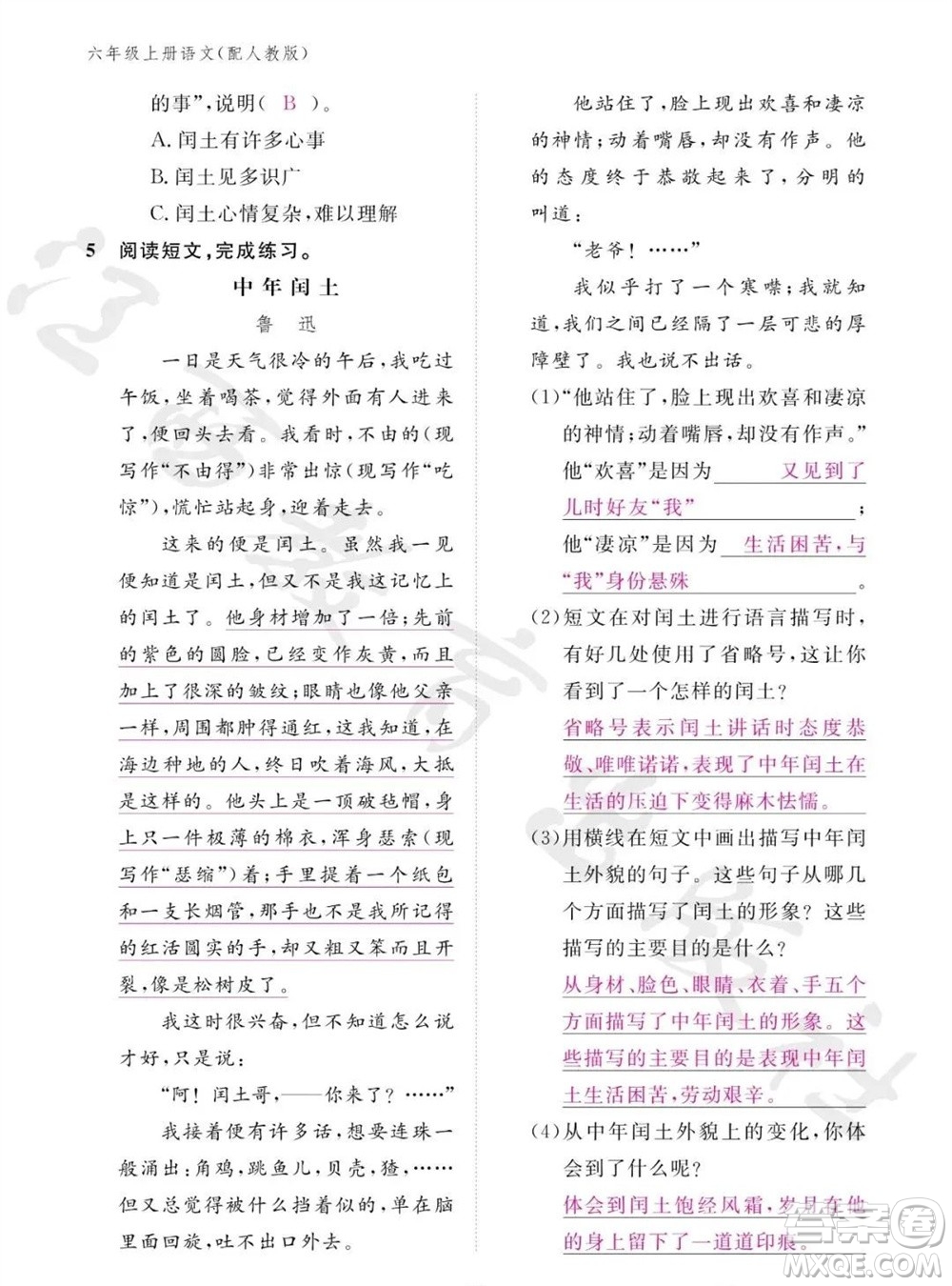 江西教育出版社2023年秋語文作業(yè)本六年級上冊人教版參考答案